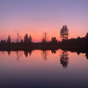 Meet your Posher, Torin